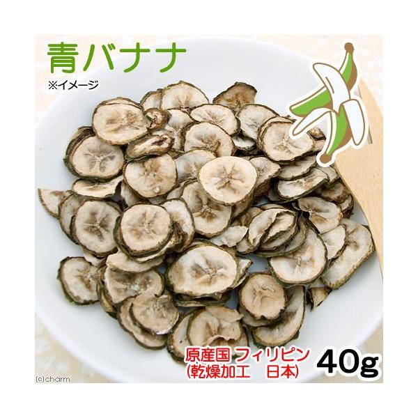 oii@SO@Y@̂@hCt[c@@nX^[@Y@F