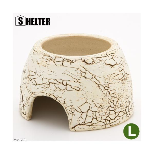 VF^[@NbNEFbgVF^[@k@Myā@঒ށ@