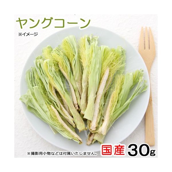 メーカー：(株)リーフ Leaf Corp リーフコーポレーション　リーフコーポ　リーフ　ＬＥＡＦ　usahokan　Corp　USAYAMA　ウサヤマ　RA_shukei01　usymlist　小動物　鳥　ハムスター　うさぎ　チンチラ　モ...