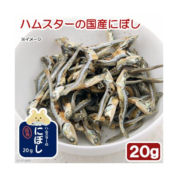 nX^[@@nX^[̍Yɂڂ@QO@v`TCY@Y@Y@F