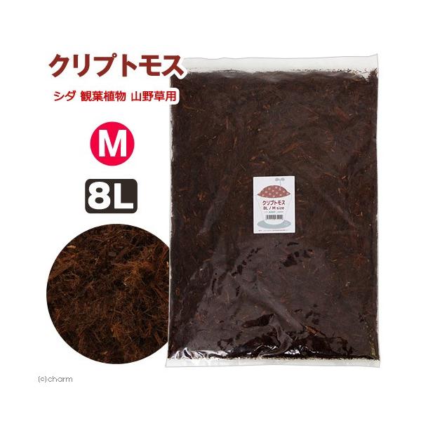 |{y@VR|{y@NvgX@lTCY@Wk@V_@ϗtA@R쑐p@llPP_