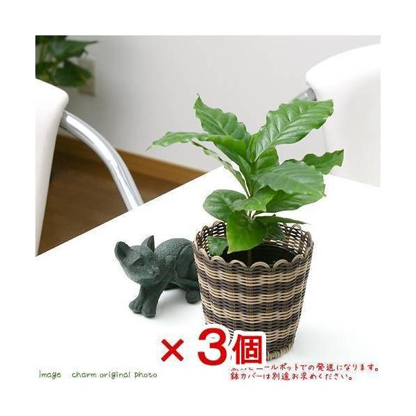 iϗtAjR[q[̖؁@RiR|bgj