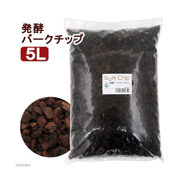 yo[N`bv@Tk@|p@m@V_@ϗtA@}`O@llPP_