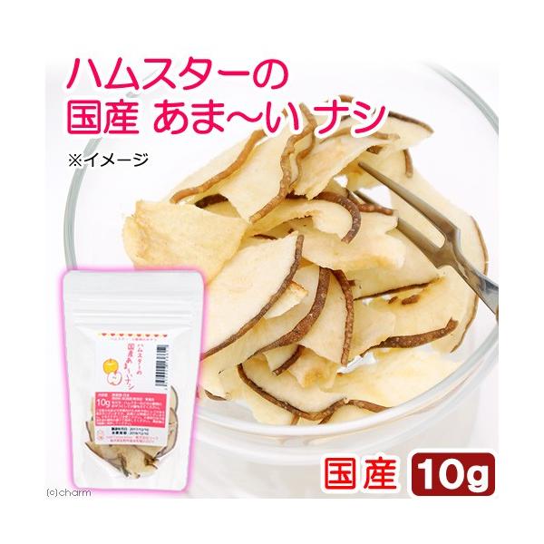 nX^[@@nX^[̍Y܁`iV@PO@v`TCY@hCt[c@Y@F