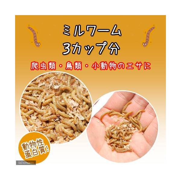 �①���i���a�j�����ۏ؂Ȃ��@�~�����[���@�R�J�b�v���@���a�@�ʓr�N�[���萔���@�퉷���i�����s�� ���i�摜2