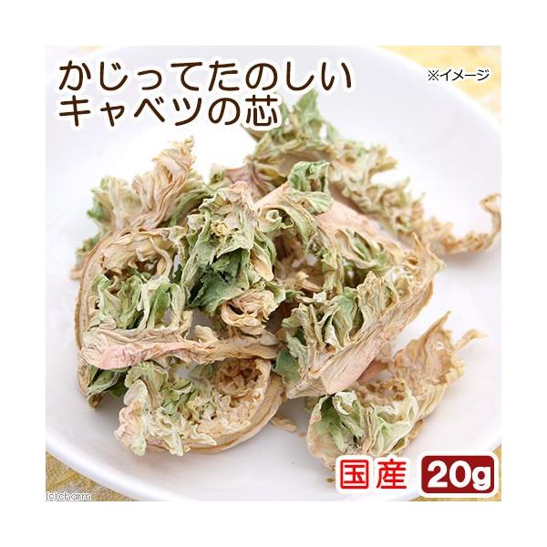 Y@Ă̂@Lxc̐c@QO@p̂@Y@F@؁@