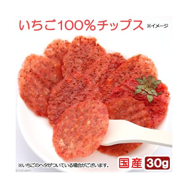 Y@POO`bvX@RO@̂@Y@F