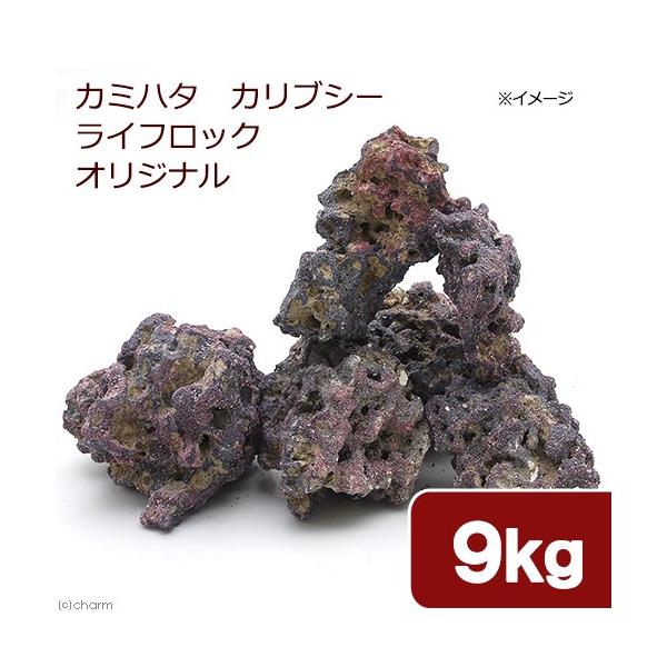 J~n^@JuV[@CtbN@IWi@XDO@oNeAt