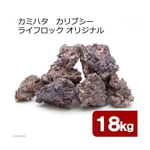 J~n^@JuV[@CtbN@IWi@PWDO@oNeAt