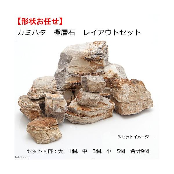 J~n^@ANAEbN@w΁@CAEgZbg@ST`VT@`󂨔C