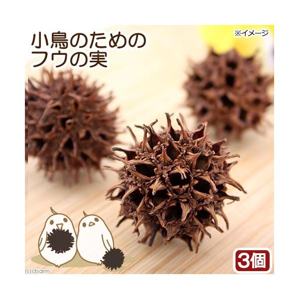 メーカー：(株)リーフ Leaf Corp _animal　usymlist　tt_toy　HS_tgm　tennen_toy　_bird　_leaf　_hobby　fb19_in　nutforanimal　小動物　鳥　用品　animal　...