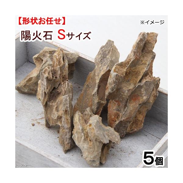 `󂨔C@zΐ΁@rTCYiS`POj@T@ANAE@CAEgf