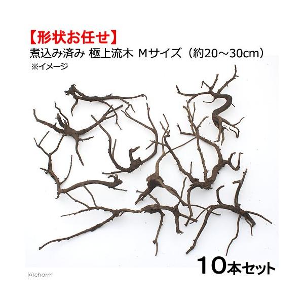 `󂨔C@ύݍς݁@ɏ㗬؁@lTCYiQO`ROjPO{@ANAE@eE@CAEgf