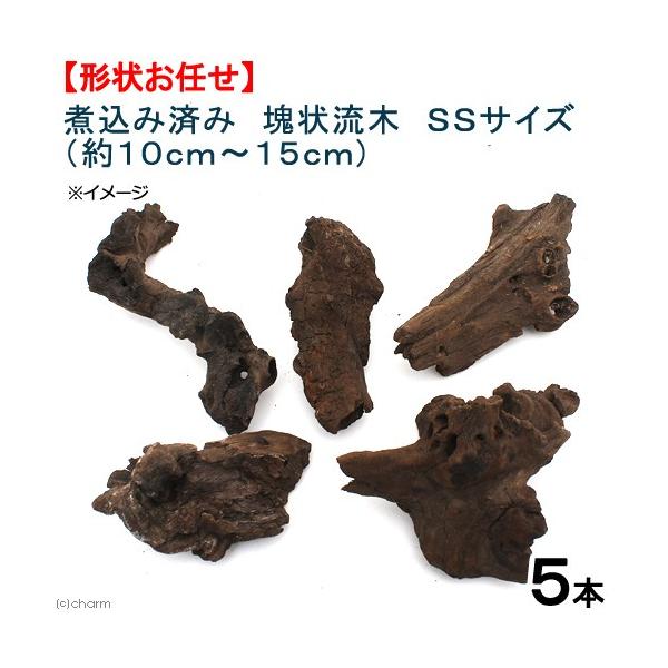 `󂨔C@ύݍς݁@󗬖؁@rrTCYiPO`PTj@T{@CAEgf