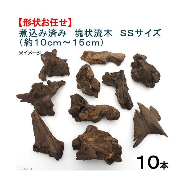 チャーム（charm） 形状お任せ 煮込み済み 塊状流木 SSサイズ（約