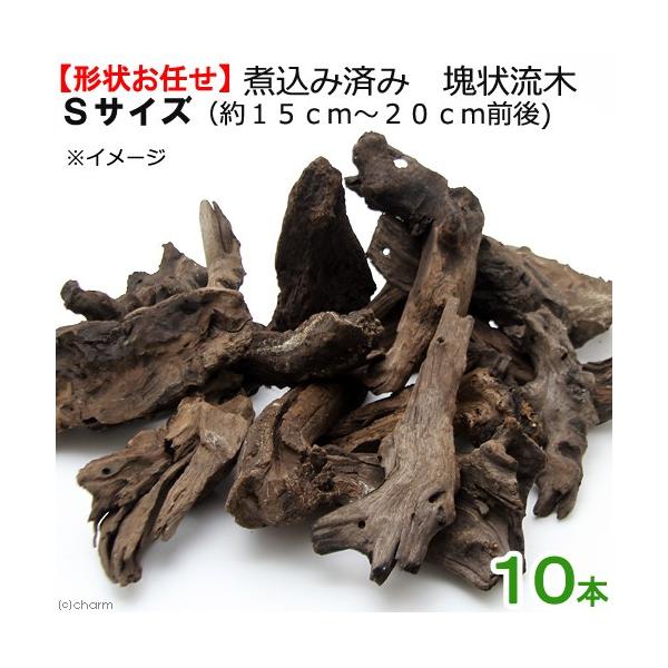 `󂨔C@ύݍς݁@󗬖؁@rTCYiPT`QOj@PO{@CAEgf