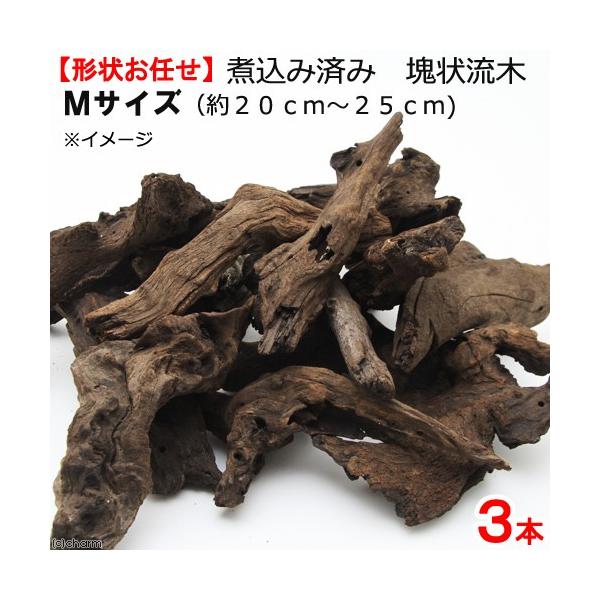 `󂨔C@ύݍς݁@󗬖؁@lTCYiQO`QTj@R{@CAEgf