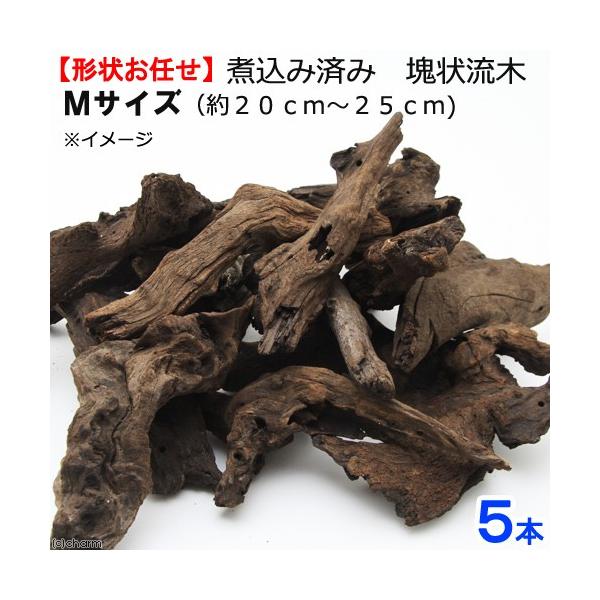 `󂨔C@ύݍς݁@󗬖؁@lTCYiQO`QTj@T{@CAEgf