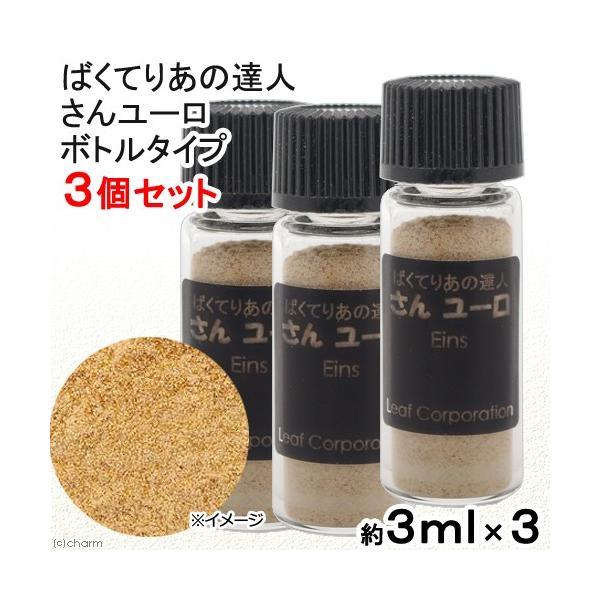 ΂Ă肠̒Bl@񃆁[@{g^Cv@RZbg@oNeA@Mы@Ϗ܋