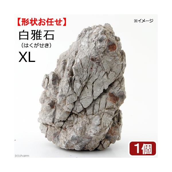 `󂨔C@΁@wkTCYiQT`j@P@ANAE@CAEgf