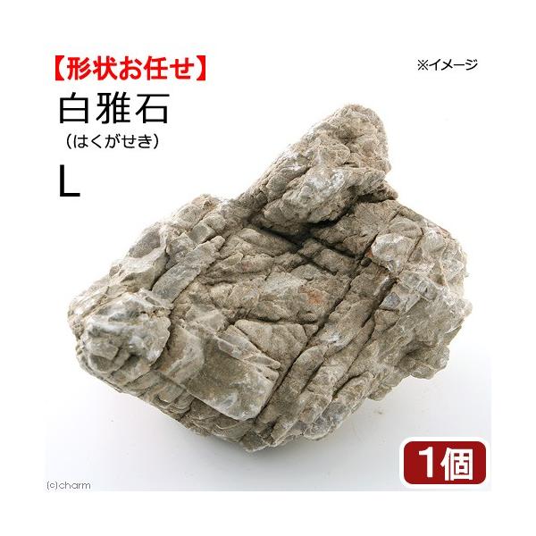 `󂨔C@΁@kTCYiQO`QTj@P@ANAE@CAEgf