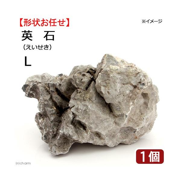 `󂨔C@p΁@kTCYiPT`QOj@P@ANAE@CAEgf