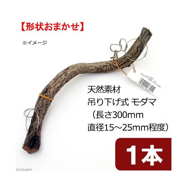 line250910p510anim　_kame　_hachu　naisyoku_syukei　_animal　小動物　１２コンテナ　Leaf　Corp　hwlist　天然素材　藤の木　トンネル　吊り下げ　小　藤　フジ　トウ　スパイラル　t...