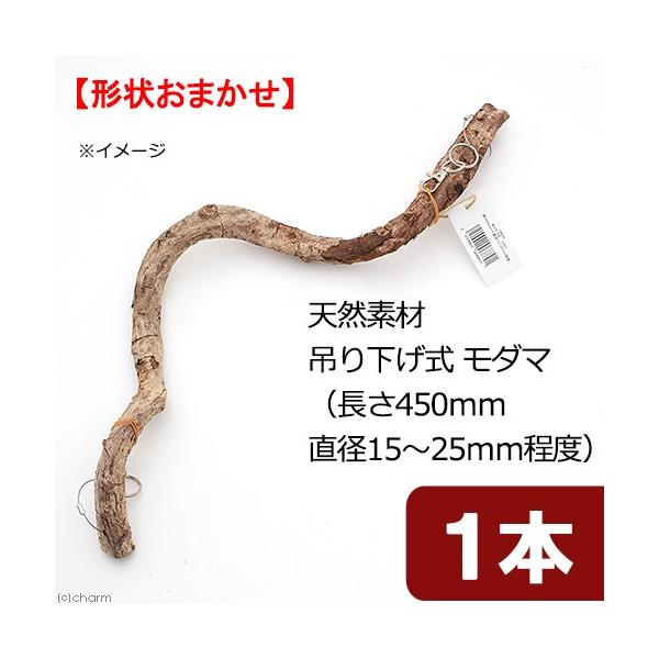 VRfށ@݂艺@_}@rSTg@iSTO@aPT`QTxj@XpCp[`