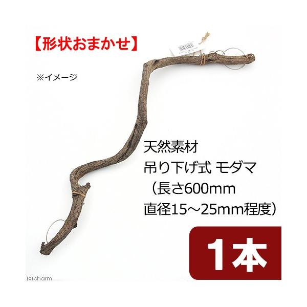 line250910p510anim　_hachu　_kame　naisyoku_syukei　_animal　小動物　１２コンテナ　Leaf　Corp　hwlist　tennenwood07　天然素材　藤の木　トンネル　吊り下げ　大　藤　...