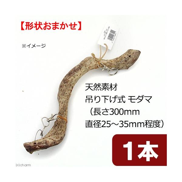 line250910p510anim　_hachu　_kame　naisyoku_syukei　_animal　小動物　１２コンテナ　Leaf　Corp　hwlist　天然素材　藤の木　トンネル　吊り下げ　大　藤　フジ　トウ　スパイラル　t...