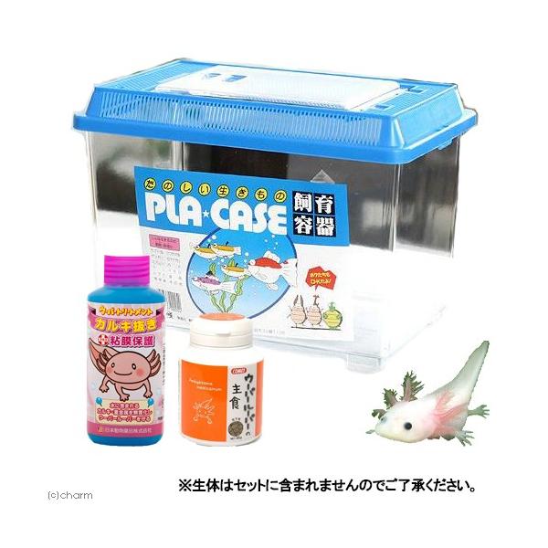 爬虫類 両生類飼育用品 ウーパールーパーの人気商品 通販 価格比較 価格 Com