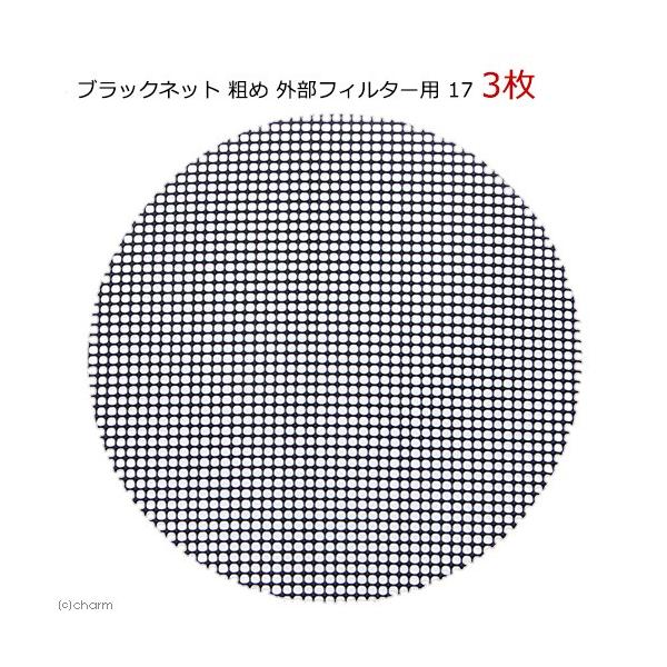 ubNlbg@e߁@OtB^[p@PV@R