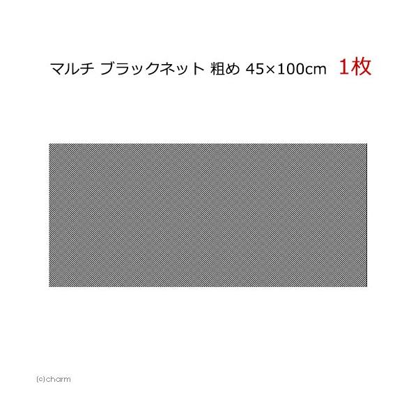 }`@ubNlbg@e߁@ST×POO@঒ށ@@P[W@t^@lbg