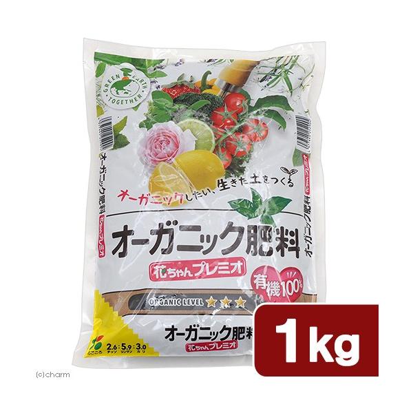 Ԃ@I[KjbN엿@Ԃv~I@P@L@POO