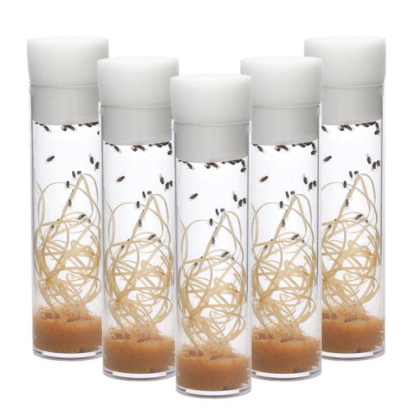 生き餌　大型魚エサ　爬虫類エサ　器具　餌　給餌器　生餌　ブライン　爬虫類生餌　▼トリニドショウジョウバエ　フライトレス　rep_food_fruitfly　repfoodflyflog　ＭＫ　20100911　活き餌　活餌　活きエサ　kai...