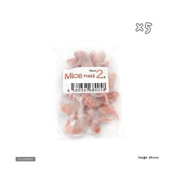 ⓀriPOCj@J^{B@lQ@ⓀsN}EX@pbN@×T@Ⓚ}EX@ʓrN[萔@퉷is