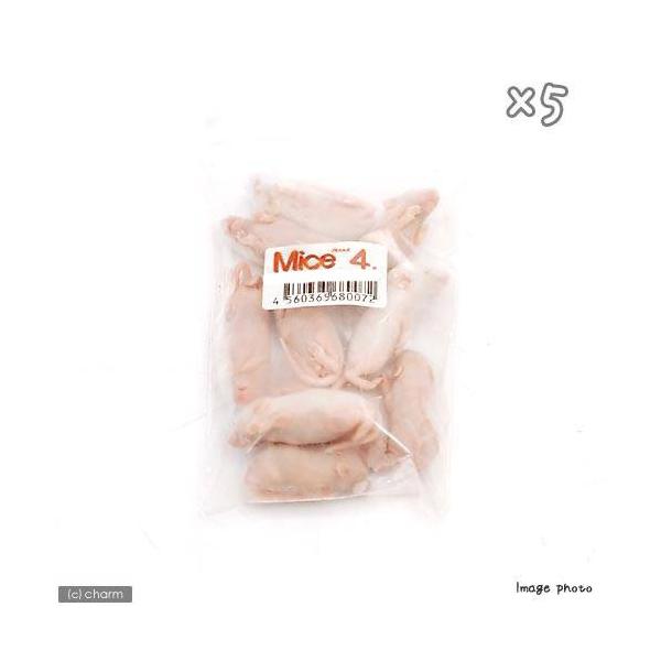 冷凍★Ｌ（１０匹）×５　カタ養殖　冷凍ピンクマウス　パック　冷凍マウス　別途クール手数料　常温商品同梱不可