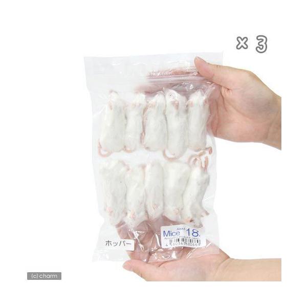 Ⓚzbp[@J^{B@lPW@Ⓚ}EXiPOCj@pbN@×R@ʓrN[萔@퉷is