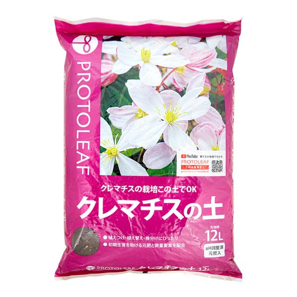 クレマチスの価格と最安値 おすすめ通販を激安で 花 ガーデニング用品関連