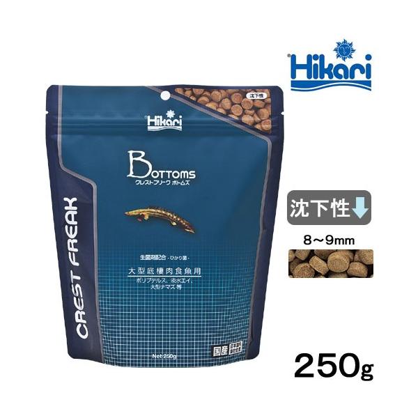 L[@NXgt[N@{gY@QTO@^ꐶHp@t[h@y@llRO_