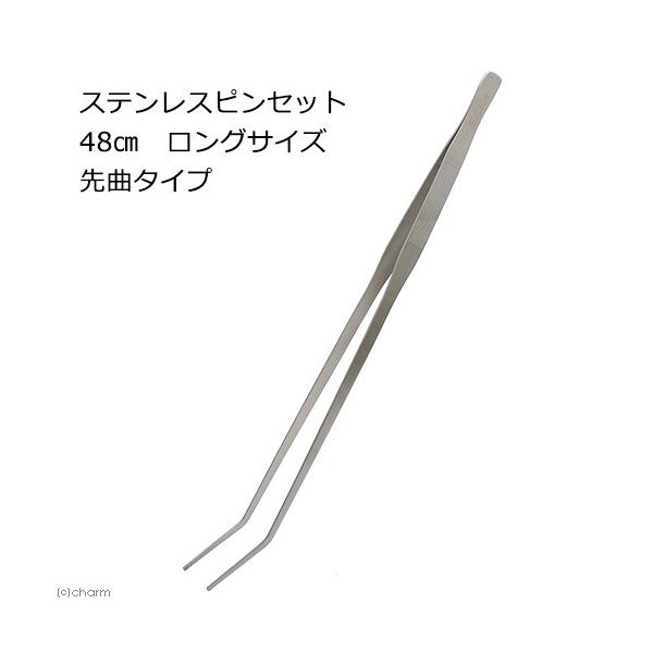 XeXsZbg@SW@OTCY@ȃ^Cv