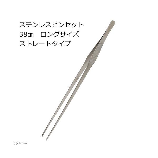 XeXsZbg@RW@OTCY@Xg[g^Cv