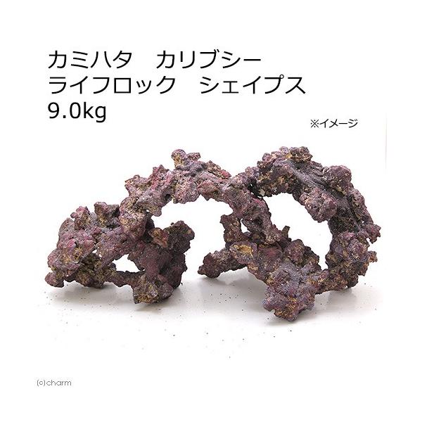 J~n^@JuV[@CtbN@VFCvX@XDO@lHCubN