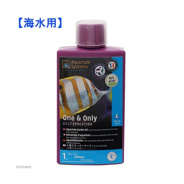 hN^[eB@Cp@I[@QTO@oNeA܁@AjA@Ɏ_