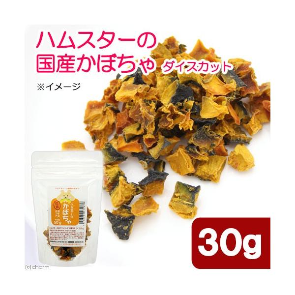 nX^[@@nX^[̍Yڂ@_CXJbg@RO@v`TCY@hC؁@Y@F