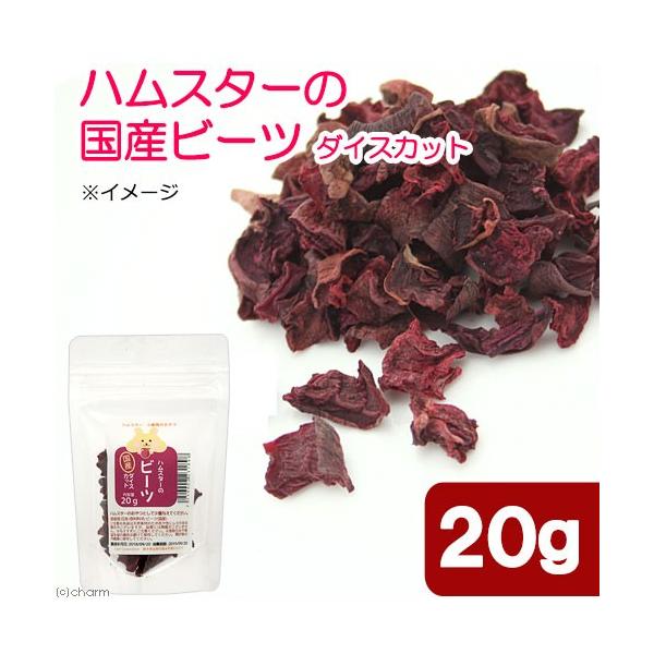 nX^[@@nX^[̍Yr[c@_CXJbg@QO@v`TCY@hC؁@Y@F