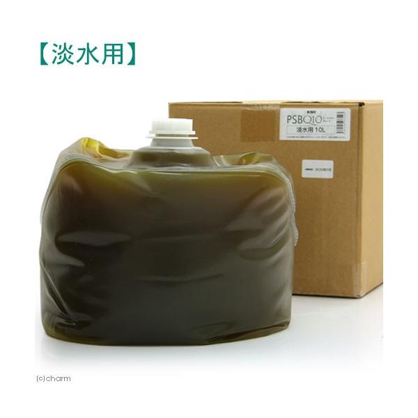 orapPO@s[GXr[L[g@Wp@POki^EƖpj@׋ہ@oNeA@llQ_