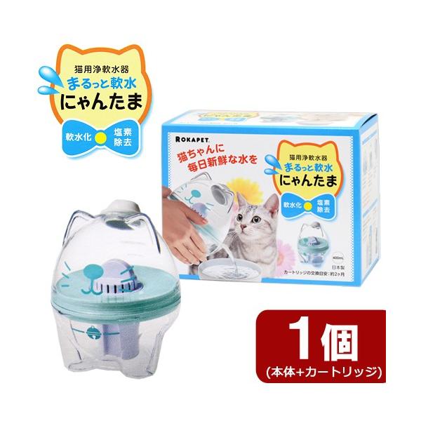 AEgbgi@jtqhs`@Lp@܂Ɠɂ񂽂܁@󂠂