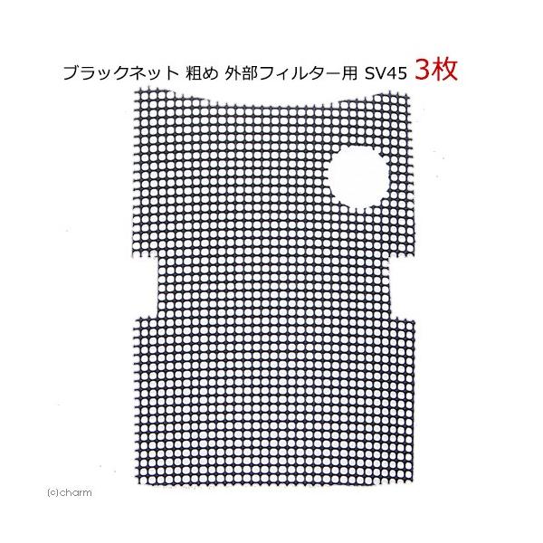 ubNlbg@e߁@OtB^[p@ruST@R