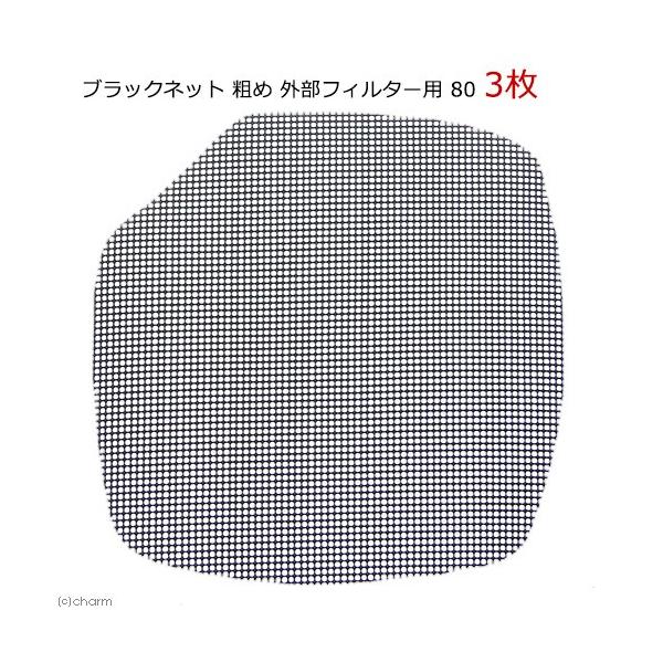 ubNlbg@e߁@OtB^[p@WO@R